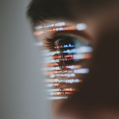 Del neofascismo tecnológico: Palantir
