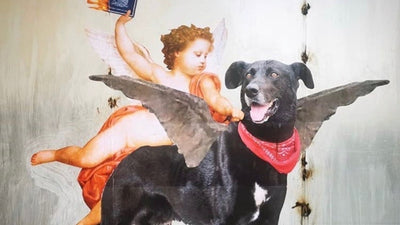 Aportes para una reflexión ciudadana en el momento constituyente