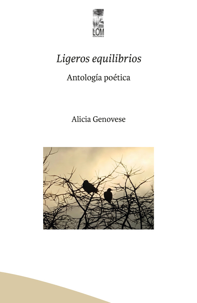 Ligeros equilibrios