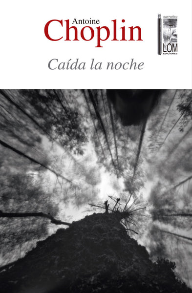Caída la noche