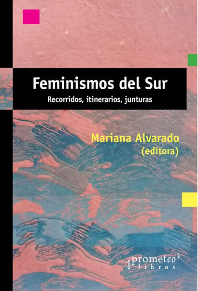 Feminismos del Sur Recorridos, itinerarios, junturas