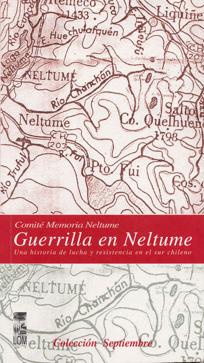 Guerrilla en Neltume